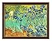 Colour Talk DIY Home Decor Digital Canvas Oil Painting by Number Kits Worldwide Famous Oil Painting Irises by Van Gogh 16 * 20 inch.
