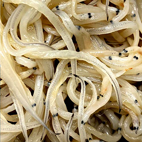 Angulas Baby Eels - 3.5 oz / 100 gr. - 100% Real Angulas Glass Eel Fresh Frozen