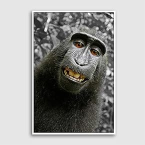 Framed Canvas Home Artwork Decoration Animal Canvas Wall Art for Living Room, Bedroom - 16x24 inches