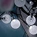 LALAPAO Globe String Lights 2 Pack Solar Powered Outdoor Lights 30 LED 19.7ft Crystal Ball Fairy String Light for Christmas Xmas Tree Garden Path Patio Home Lawn Holiday Wedding Decor Party (White)
