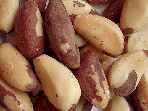 Whole, Shelled & Raw Brazil Nuts (1 Lb.) - Bursting with Natural Flavors - Compares to Organic - Vegan & Keto Friendly… - Image 4