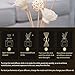 30 Rattan Diffuser Reed Sticks Replacement