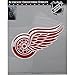 NHL Detroit Red Wings Logo Patch