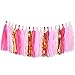 28Ct Hot Pink Gold Tissue Hanging Paper Decorations Kit Flamingo Wedding Favors Fuchsia Tissue Paper Pom-Poms Balls Tassel Hangings Garlands Baby Shower Party Decorations