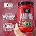 BSN Amino X Endurance & Recovery Powder with 10 Grams of Aminos Per Serving, Flavor: Grape, 30 Servings