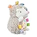 Taggies Petals Hedgehog Soft Toy