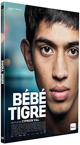Bébé tigre