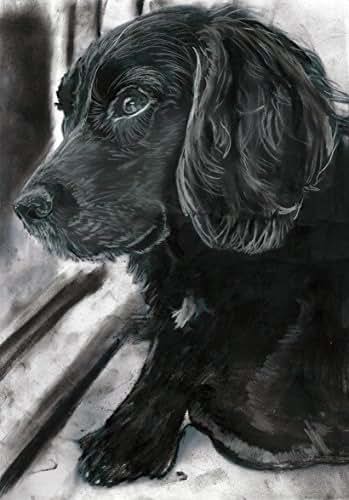 Amazon.com Cocker Spaniel Art Print Cocker Spaniel 