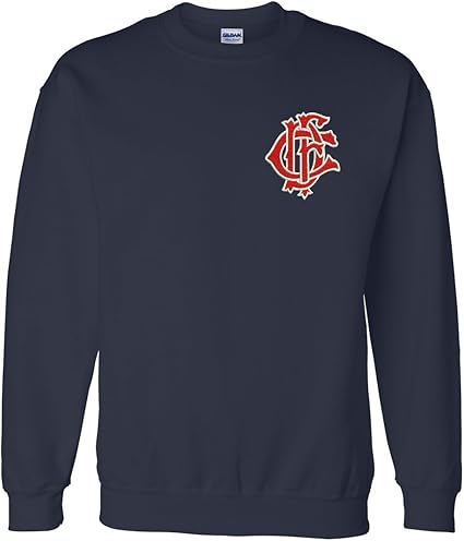 blue fire sweatshirt