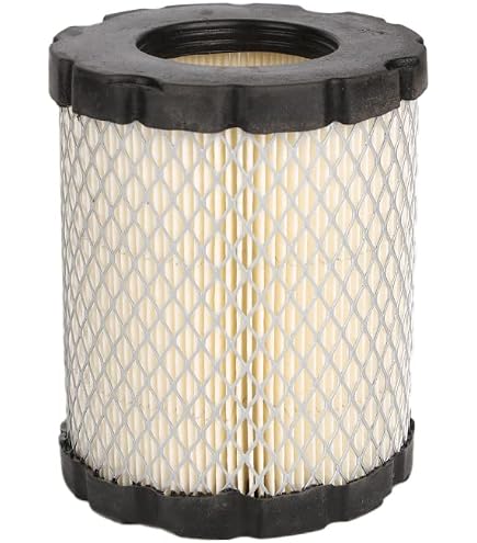 BRIGGS & STRATTON 310097 Luftfilter – Ersatzfilter, Ca. 178x89x38 Mm, Für 9 PS OHV Vanguard Motoren