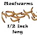 2000ct Live Mealworms, Pet Food for Reptile, Birds, and Fish