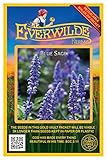 Everwilde Farms - 1000 Blue Sage Wildflower Seeds