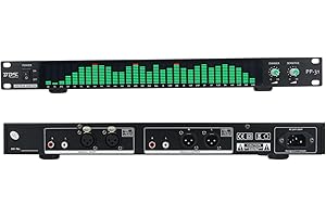 TZT BDS PP-31 Green Digital Audio Spectrum Analyzer Display 1U Music Spectrum VU Meter 31 Segments