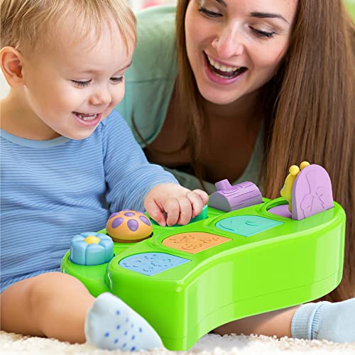 Pop Up Cause and Effect Toy Toys for 9 Month Old +, Baby, Early Developmental Toddler & Kids