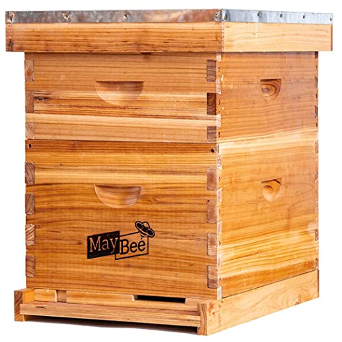 MayBee 10-Frame Langstroth Beehive