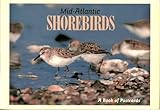 Mid-Atlantic Shorebirds: A Book of Postcards by