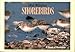 Mid-Atlantic Shorebirds: A Book of Postcards by