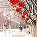 Pangda 30 Packs 8 Inch Chinese Red Paper Lanterns for 2025 Chinese New Year Decorations, Spring Festival Decoration to Drive off Bad Luck