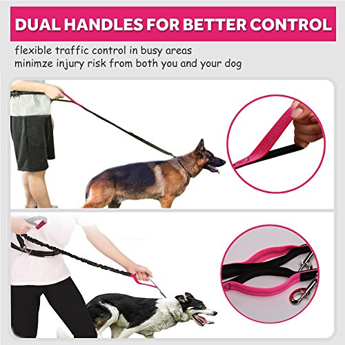 Hands Free Dog Leash for Running Walking Training Hiking, DualHandle
