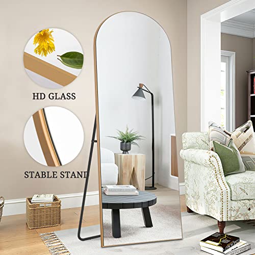 NeuType Arched Full Length Mirror Floor Mirror Wood Frame Modern