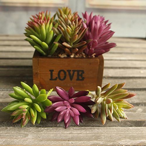 Neomark Set of 3 Vinyl Artificial Succulent Galanthus Cactus Plants for Office Home Decor Craft Making