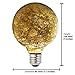 Judy Lighting - G95 LED Edison Bulb Decorative Starry String Light Bulb E26 Glass Fairy Light Bulb(Fireworks), Holiday Decoration Warm White