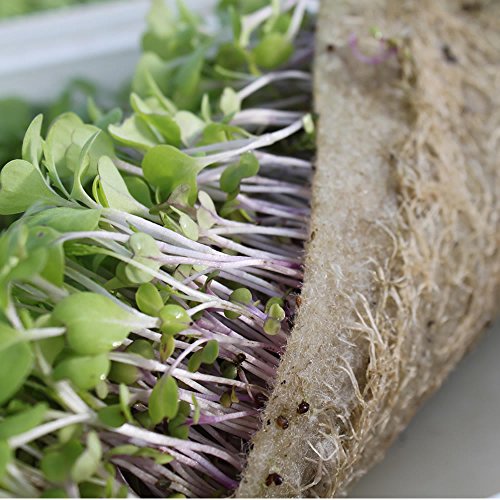 Biostrate Hydroponic Growing Mats - 1 Roll - 9" By 120' - For Hydroponic Grow Systems - Sure Biodegradable Felt Pads To Grow Microgreens, Wheatgrfass, Baby Salad Greens (740006006476)