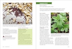 Midwest Medicinal Plants: Identify, Harvest, and