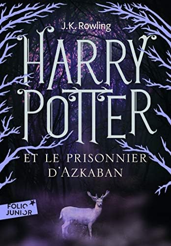 Harry Potter Et le Prisonnier D'Azkaban (French Edition) (French) Mass Market Paperback – September 1, 2011