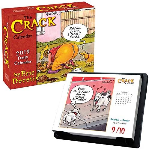 2019 Crack Daily Desk Calendar 300 Funniest Cartoons w/Art by Eric Decetis