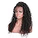 360 Frontal Wigs Full Lace Human Hair Wig Deep Curly 180% Density Natural Color Per-Plucked Baby Hair Around (16 Inch)