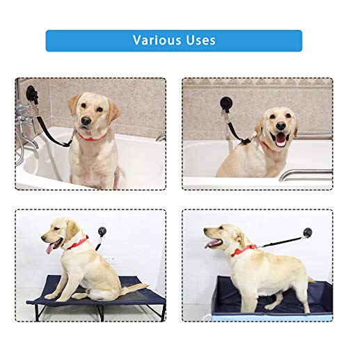 Portable Dog Bathing Restraint,Pet Grooming Suction Cup, Pets Shower Tether Straps , Any Size