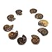 Justinstones 10pcs Side Drilled Natural Ammonite Fossil Loose Gemstone Beads