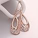 Women Rose Gold Plated Oval Dangle Earring Zircon Elegant Hook Eardrop