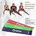 Nylea 3 Pack Resistance Exercise Workout Bands [Free Travel Bag] 12
