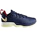 Nike Lebron XIV Low Men's Basketball Shoes Black/Black-Dark Grey 878636-002 (7 D(M) US)