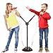 Kids Double Karaoke Mic with Music Singalong and Disco Lights, Connects to Ipods, Smartphones & MP3 Players