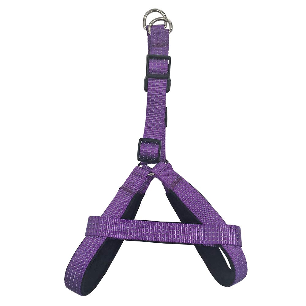 Arquivet 17644 Purple Harness, 2.0 x 45-55 cm