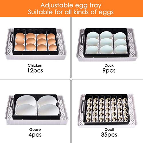 Egg Incubator Digital Fully Automatic Hatcher for 435 Eggs Duck Egg