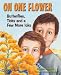 On One Flower: Butterflies, Ticks and a Few More Icks