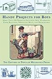 Handy Projects for Boys: More Than 200 Projects Including Skis, Hammocks, Paper Balloons, Wrestling Mats, and Microscopes by 