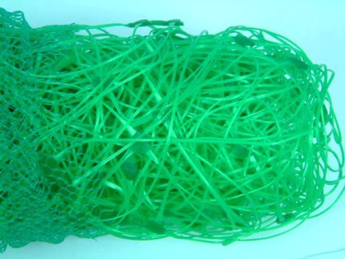 Apollo Gardening Ltd 52541 PEA & BEAN NET 4X2M