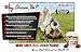 Lively Pets Hip and Joint Supplements + Skin and Coat with Glucosamine and MSM for Dogs