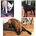 Hipaw Summer Breathable Dog Boots Nonslip Sole Paw Protector for Hardwood Floor