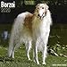 Borzoi Calendar - Dog Breed Calendars - 2019 - 2020 Wall Calendars - 16 Month by Avonside by