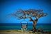 Large Deluxe BRAZILIAN HAMMOCK CHAIR - Hanging Rope Swing - Hang Indoor Or Outdoor - No Hammock Stand Required - by Inspired Home Living
