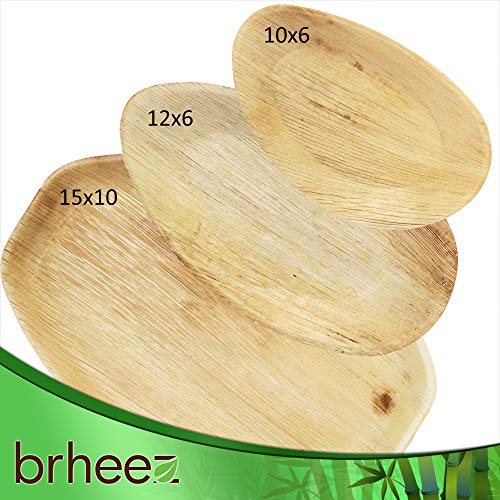 Brheez Palm Leaf Disposable Bamboo Like Oval 10 x 6 Inch Natural Elegant Sturdy Plate/Serving Platter Biodegradable, Compostable Chemical Free, Natural Alternative to Plastic and Paper - Pack of 25