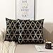 NordECO HOME Pack of 2 Throw Pillow Covers Cases - Square Decorative Cushion Covers for Halloween Sofa Couch Bed Home Decoration, 18 x 18, Black