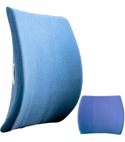 Amazon.com: Back-Huggar® The Original Lumbar Cushion (Bucket Style