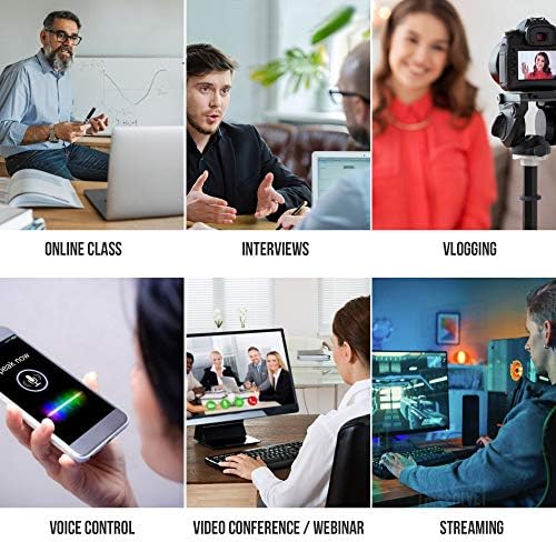 Lavalier microphone with zipper clip, priced at $17.95.